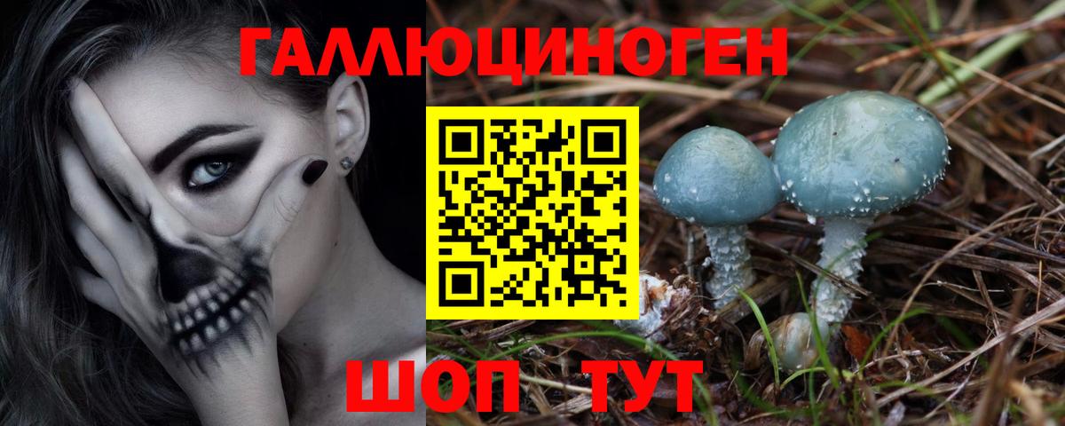 Ярославль  Псилоцибиновые грибы MAGIC MUSHROOMS  Галлюциногенные грибы Cubensis  Вход с VPN 